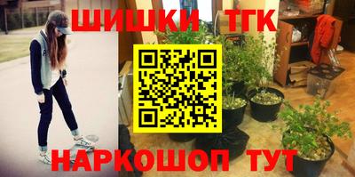 apvp Тулун